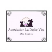 logo Association La Dolce Vita Des 4 Pattes